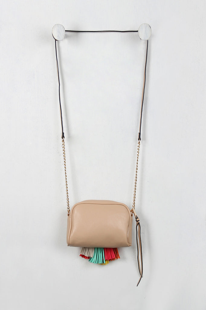 Colorful Tassel Mini Bag