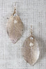 Leaf and Rhinestones Dangle Earrings